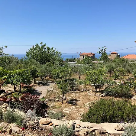 Bright Cozy With Terrace, Garden & Sea View