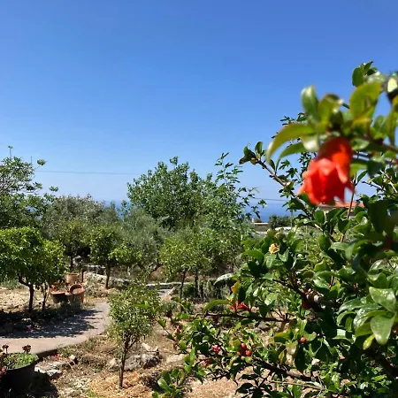 Bright Cozy With Terrace, Garden & Sea View Holiday home