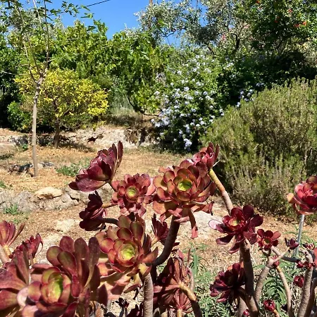 Bright Cozy With Terrace, Garden & Sea View Holiday home *