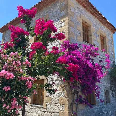 Bright Cozy With Terrace, Garden & Sea View *