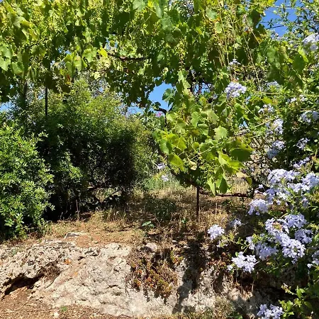 Bright Cozy With Terrace, Garden & Sea View Neokhorion (Messenia)