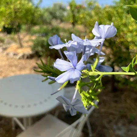 펜션 Bright Cozy With Terrace, Garden & Sea View Neokhorion (Messenia)