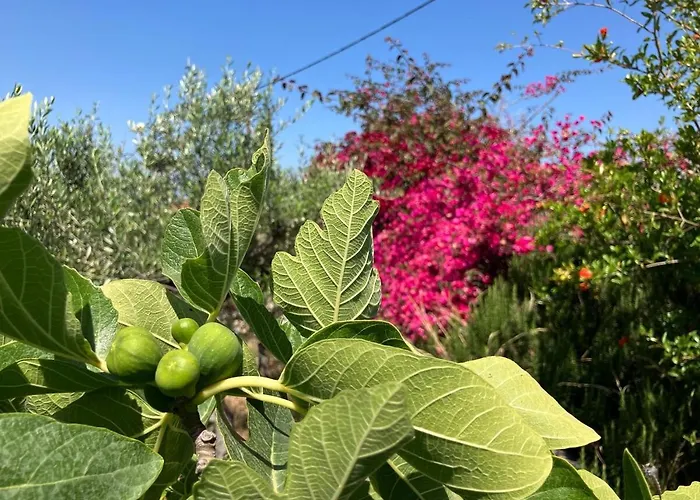 펜션 Bright Cozy With Terrace, Garden & Sea View Neokhorion (Messenia)