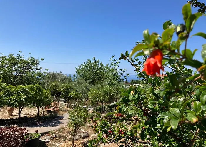 Bright Cozy With Terrace, Garden & Sea View Dom wakacyjny