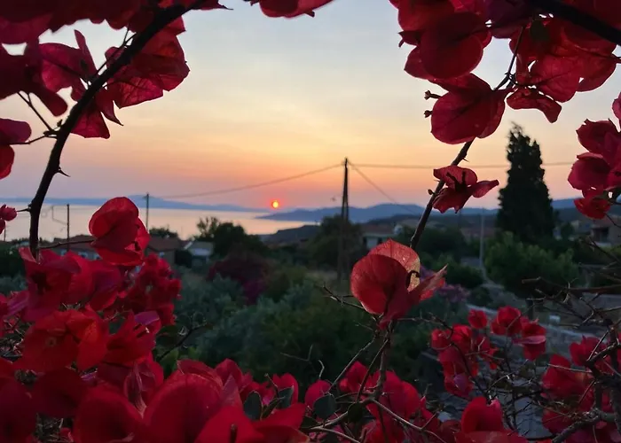 Bright Cozy With Terrace, Garden & Sea View 펜션 Neokhorion (Messenia)