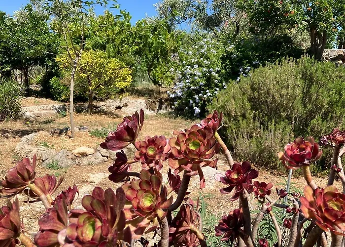 Bright Cozy With Terrace, Garden & Sea View 펜션 *