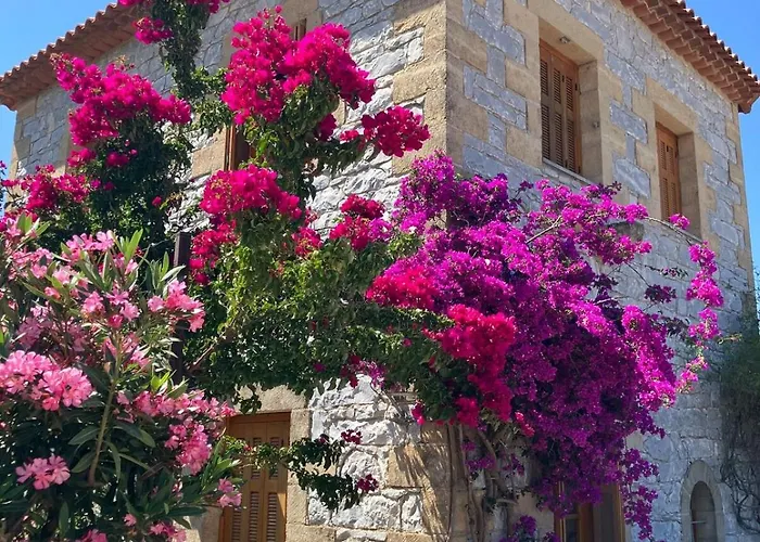 Bright Cozy With Terrace, Garden & Sea View *