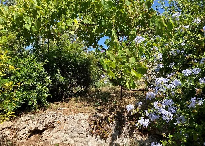 Bright Cozy With Terrace, Garden & Sea View Neokhorion (Messenia)