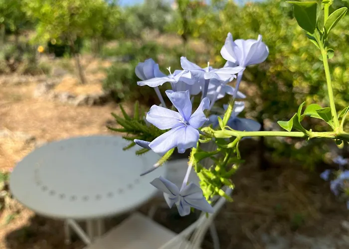 Dom wakacyjny Bright Cozy With Terrace, Garden & Sea View Neokhorion (Messenia)